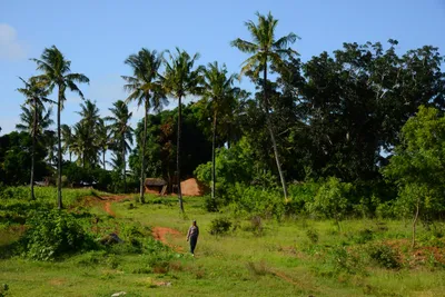 DSC_8493 (Large).JPG